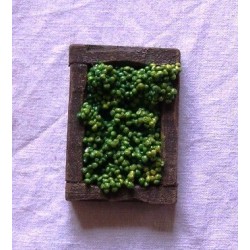 Cassetta uva bianca  043