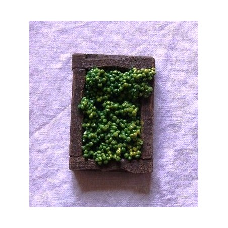 Cassetta uva bianca  043