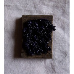 Cassetta uva rossa 044