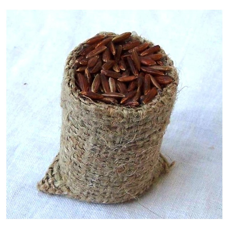 Sacco peperoncini 07