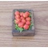 Cassetta pesche 03