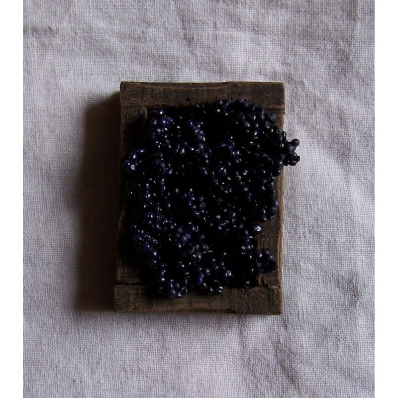 Cassetta uva rossa 016