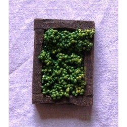 Cassetta uva bianca  017