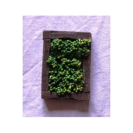 Cassetta uva bianca  017