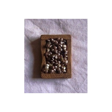 Cassetta vongole 022