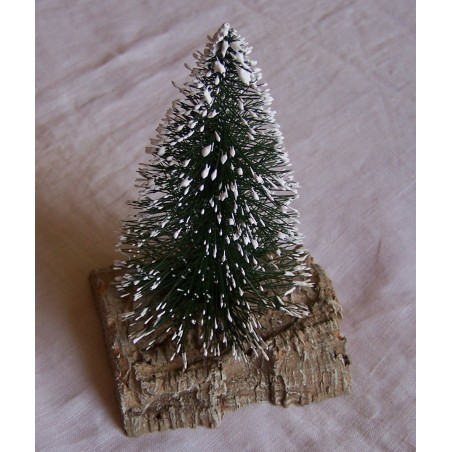 Pino sulla roccia 08