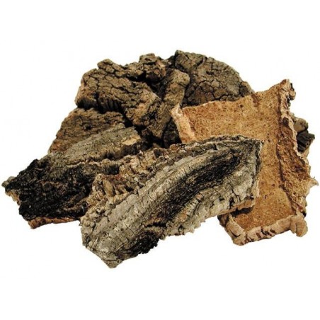 Sughero in corteccia 04