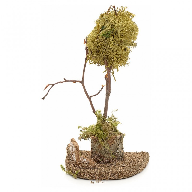 Scena alberi verde chiaro 02