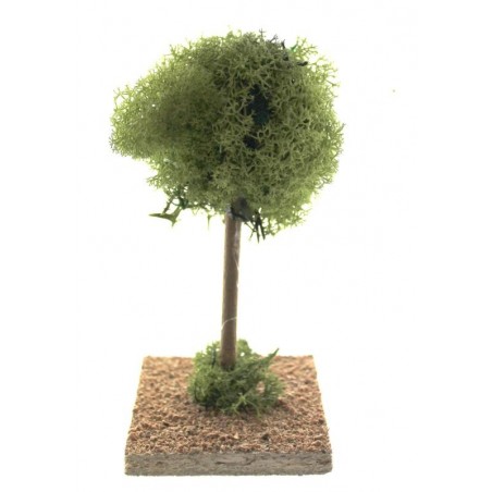 Albero 04