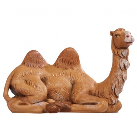 Cammello seduto