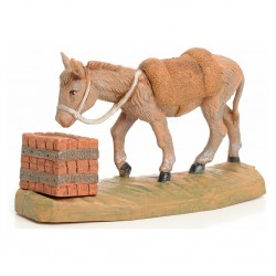 Asino con mangiatoia