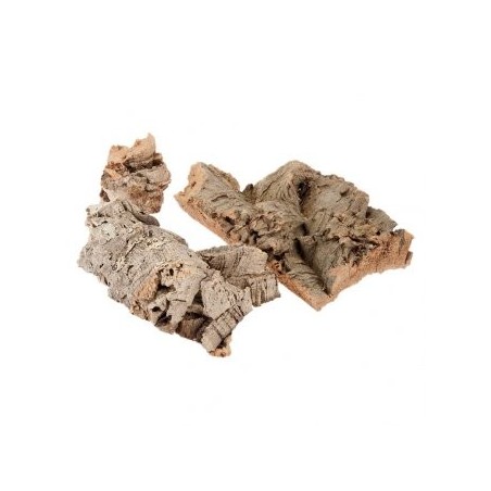 Sughero in corteccia  09