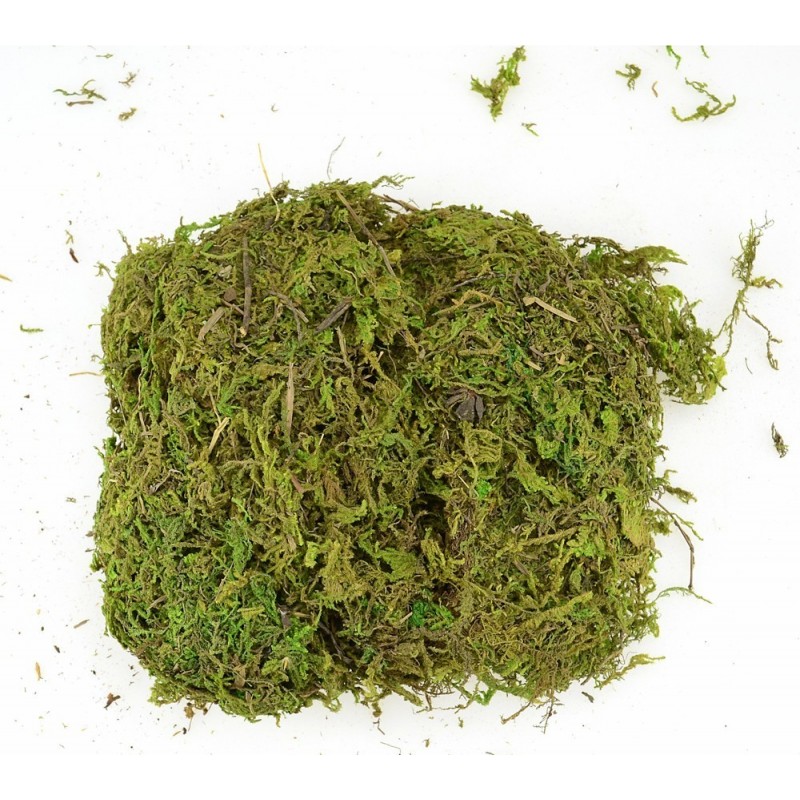 Busta muschio soffice 02