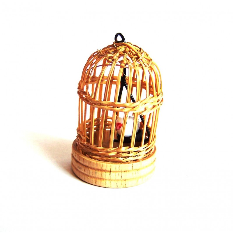 Gabbia con uccello 013