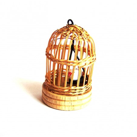 Gabbia con uccello 013
