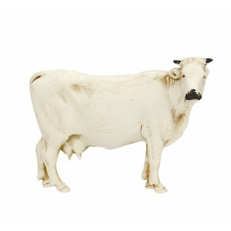 Mucca bianca