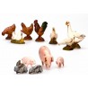 Animali da cortile