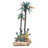 Palma doppia con cactus 021