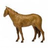 Cavallo