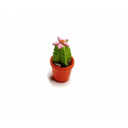 Vaso con cactus-pianta grassa 022