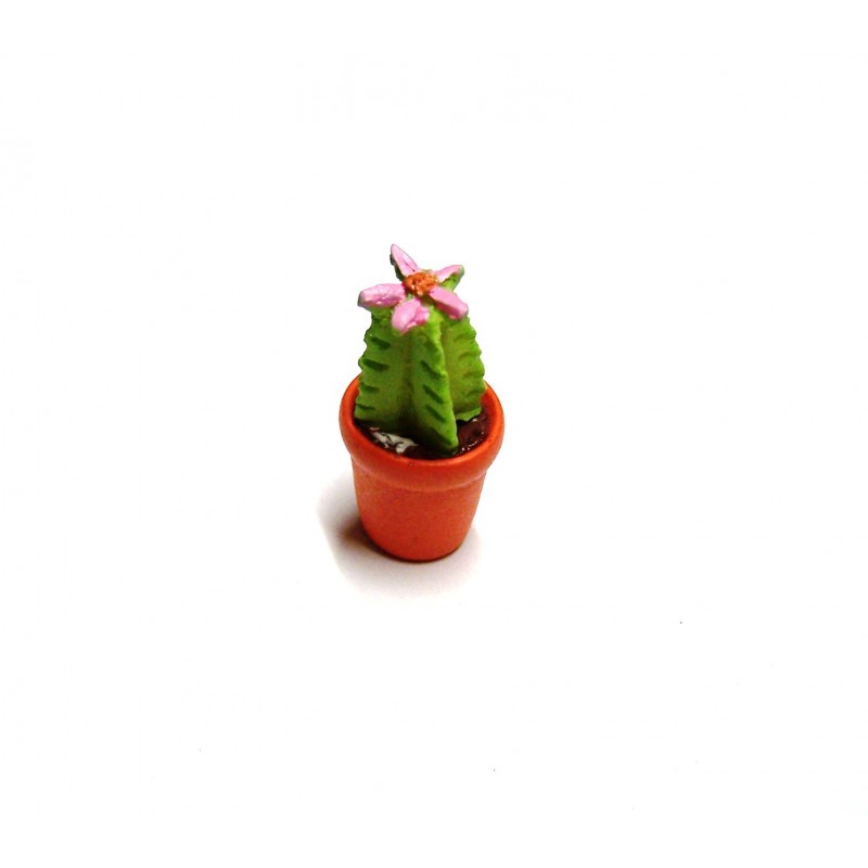 Vaso con cactus-pianta grassa 022