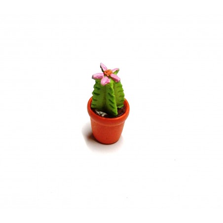 Vaso con cactus-pianta grassa 022