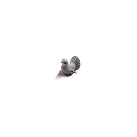 Colomba grigia 021