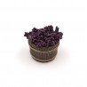 Tinozza con uva da tavola nera 025