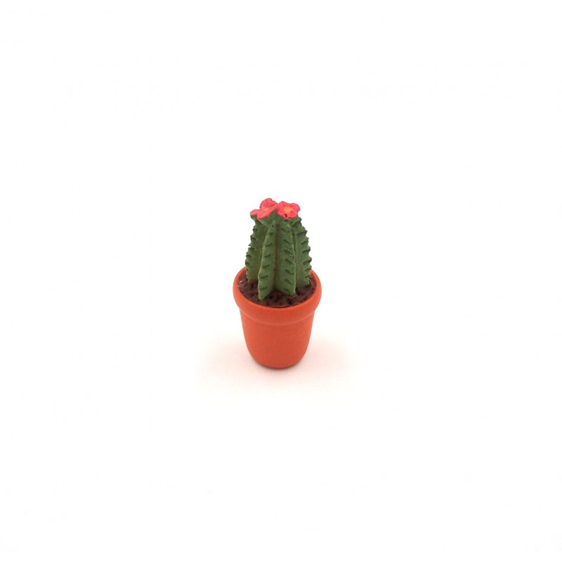 Vaso con cactus-pianta grassa 025