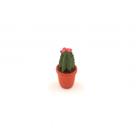 Vaso con cactus-pianta grassa 025