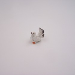 Colomba bianca con coda...